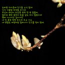 무담시 이미지