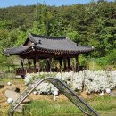 합천토종흙돼지