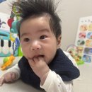 내 돈 내산 아티바바 오징어블럭 팝콘블럭 4개월 아기 소근육 발달 장난감