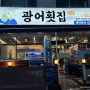 미래횟집 | 안산 월피동 맛집 광어횟집 후기 feat.또갈집