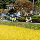 아이쿱 추수축제! 황금들녘에 여백을 더하다 이미지