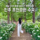 초전공원 | 경남 수국명소 진주 초전공원 수국 실시간 개화상황