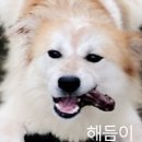 해듬약국 이미지