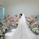 블리스 - 고양시 덕양구 삼송로 138-1 | 바리w| 완전 만족한 대구 라테라스웨딩 본식아이폰스냅 블리스 촬영후기