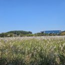 노을빛 정원 이미지