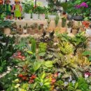 강동-천호-2356 이미지