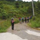 수지면 양촌마을 이미지