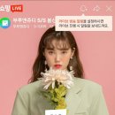 77사이즈 네이버 라이브 쇼핑으로 부루앤쥬디 니트 구매해 봤어요~