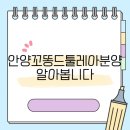 좋은친구보육원 | 안양꼬똥드툴레아분양 알아봅니다