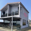 [제주도카페] 제주신상카페 서귀포 오션뷰카페 tsp 티에스피커피