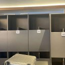 몸스타휘트니스 이미지