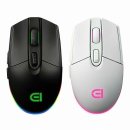 엠에스리테일 이미지