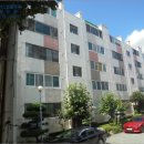 사파동148 이미지