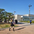 팔달어린이공원 | 수원 벚꽃 명소 행궁동 연날리기 4월 실시간 후기 포함