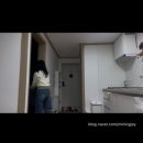 오월드 동물병원 | 🩷이것저것 일상 조각조각 모음 zip- 1월 🙏