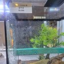 렙틸리스파충류샵 - 화성시 병점중앙로 156 | 수원 파충류 분양 렙틸리스 수원AK점 방문 후기