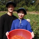 건구농장 이미지