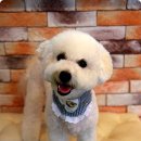 홍 - 창원시 성산구 중앙대로 75 | 홍