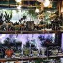 전라도 손팥칼국수 이미지