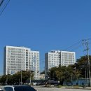 이마트24R안산공단행복점 | [독립하기] 안산 행복주택 동네 구경 &amp; 예비입주자 대기 순위 변동!!