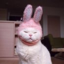 이정헤어 네이버블로그