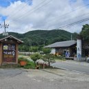 쌍둥이네 애견 이미지