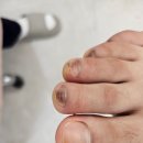 레푸스 방이역점 이미지