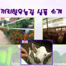 끼리농장한우