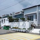 산토리니 - 거제시 거제남서로 2407-19 | 산토리니