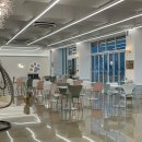 아로하스토리 이미지