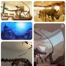 목포자연사박물관 | 목포자연사박물관 방문후기