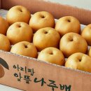 배**-5