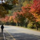 방광회관 이미지