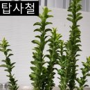 서마농장 네이버블로그