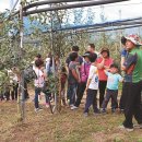 죽장면 참느리 이미지