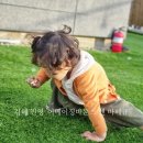 어메이징바운스앤바베큐 이미지