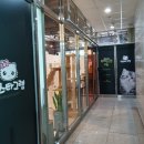 부산고양이미용&호텔 냥스타그램 이미지