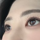 마리스포사앤아뜰리에레이나