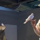 우리이용원 - 화순군 이양로 112-1 | 구미 아이와 가볼 만한 곳 금오랜드 후기 | BIG5 대신 대관람차를 선택한 이유