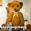 비엔나인형박물관 | 평창 비엔나인형박물관 알펜시아 근처 아이랑 가볼만한곳