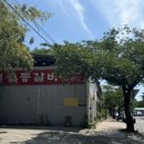 담티고가교 이미지