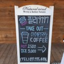 필리9197 이미지