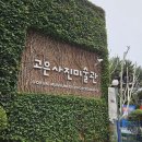 부산 해운대 고은사진미술관 <띠에리 아르두엥 SEED STORIES> 관람후기