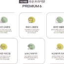 배방유치원 이미지