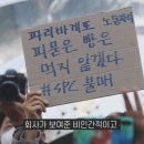 제빵왕 이미지