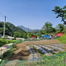 [매매완료]옥천부동산/옥천토지(143평) 대청댐 인근 마을 뒷편 작은 대지 이미지