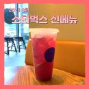 카페인숲Mini | [스타벅스 8월 신메뉴] 2021 스타벅스 MINI "루비 레드 칠링 아이스 티" 후기 (스벅 미니 리유저블 컵✨)