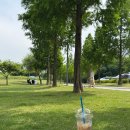 강변공원화장실 이미지