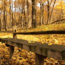 블루벤치 이미지