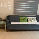 날마다 소풍 이미지